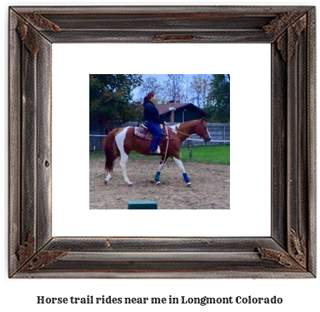 horse trail rides near me in Longmont, Colorado